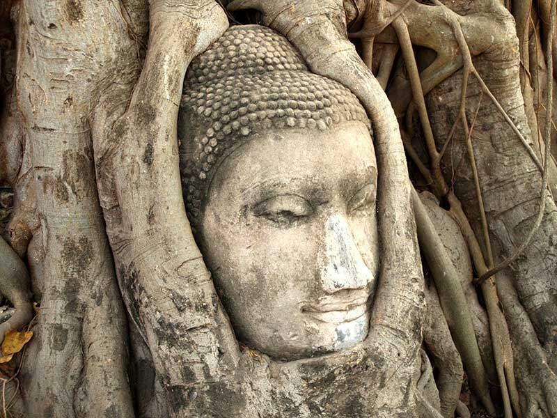 ten steps to mindfulness buddha